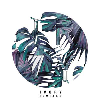 シングル/Ivory (Blowsom Remix)/Tez Cadey