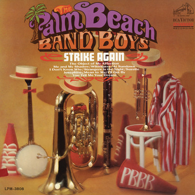 The Object of My Affection/The Palm Beach Band Boys