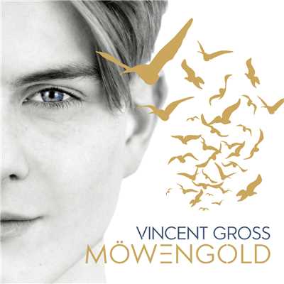 Mein Lied fur dich/Vincent Gross
