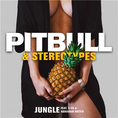 シングル/Jungle feat.E-40,Abraham Mateo/Pitbull／Stereotypes