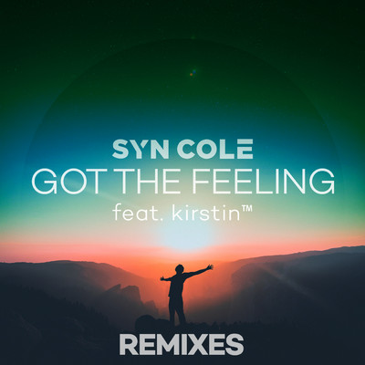 シングル/Got the Feeling (VIP Mix) feat.kirstin/Syn Cole