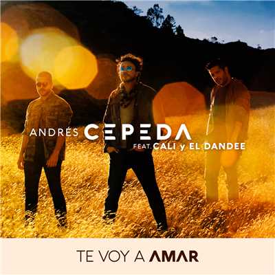 Te Voy a Amar/Andres Cepeda／Cali Y El Dandee