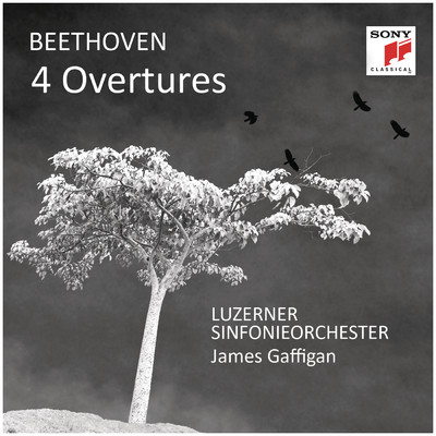 Egmont, Op. 84: Overture/Luzerner Sinfonieorchester／James Gaffigan