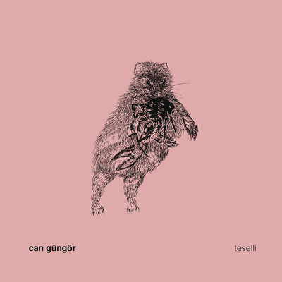 シングル/Teselli/Can Gungor