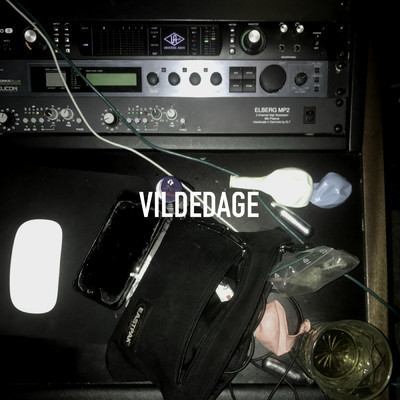 アルバム/VILDEDAGE/Artigeardit