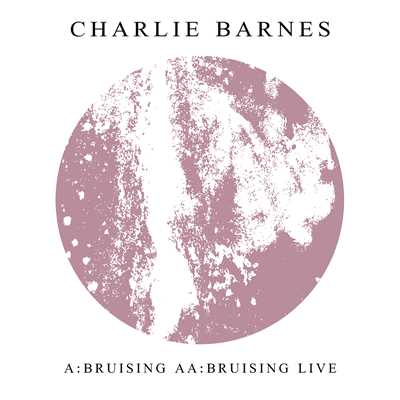 アルバム/Bruising/Charlie Barnes