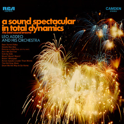 A Sound Spectacular In Total Dynamics/Leo Addeo And His Orchestra