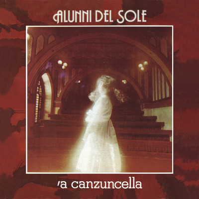 アルバム/'A canzuncella/Alunni del Sole
