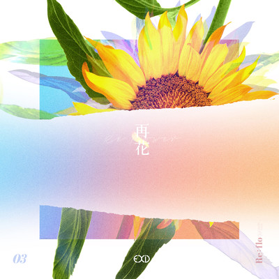 [Re:flower] PROJECT #3/EXID