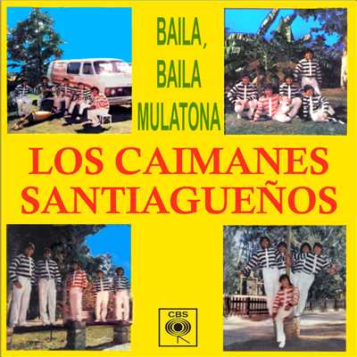アルバム/Baila, Baila Mulatona/Los Caimanes Santiaguenos