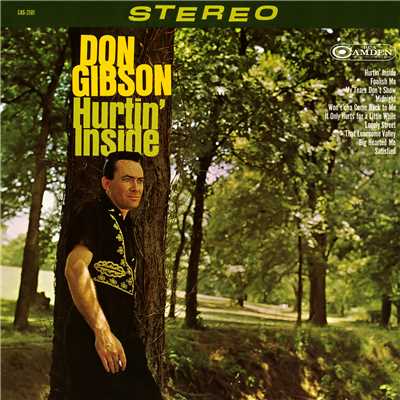 アルバム/Hurtin' Inside/Don Gibson