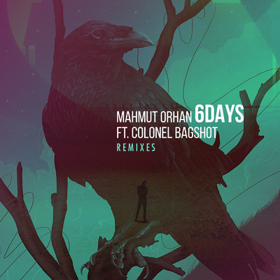 6 Days (Filatov & Karas Remix)/Mahmut Orhan／Colonel Bagshot