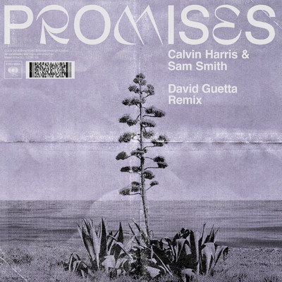 Promises (David Guetta Extended Remix)/Calvin Harris／Sam Smith