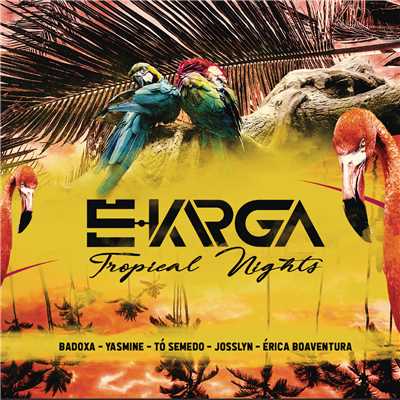 Tropical Nights/Various Artists