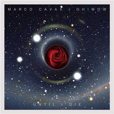 Marco Cavax／Oh！ Wow