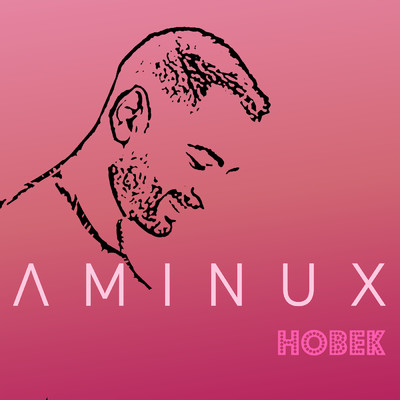 シングル/Hobek/Aminux