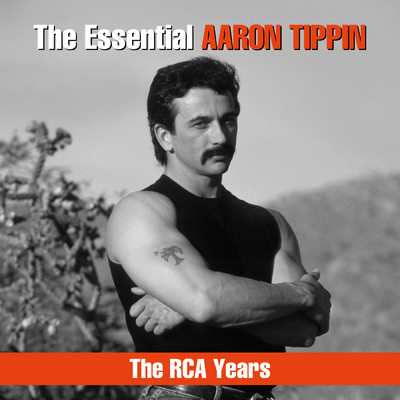 The Sky's Got the Blues/Aaron Tippin