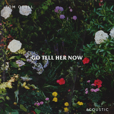 Go Tell Her Now (Acoustic)/Tom Odell