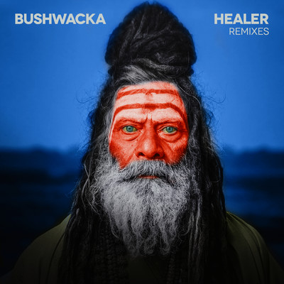 Healer (Carl Cox Remix)/Bushwacka！