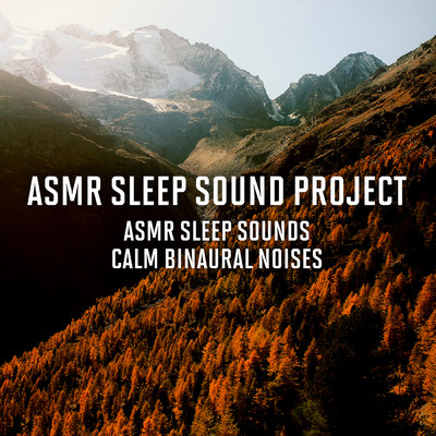 アルバム/ASMR Sleep Sounds - Calm Binaural Noises/ASMR Sleep Sound Project