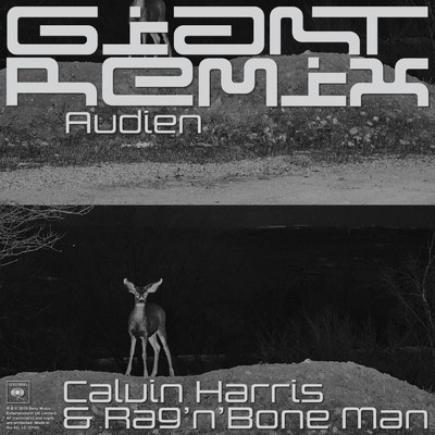 シングル/Giant (Audien Extended Remix)/Calvin Harris／Rag'n'Bone Man
