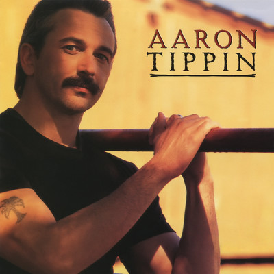 You've Always Got Me/Aaron Tippin
