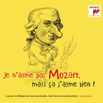Je n'aime pas Mozart, mais ca j'aime bien ！/Various Artists