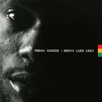 Heavy Like Lead/Terry Ganzie