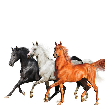 Old Town Road (Diplo Remix)/Lil Nas X／Billy Ray Cyrus／Diplo
