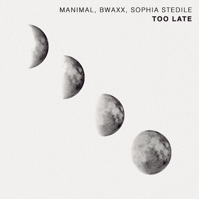 シングル/Too Late/Manimal／BWAXX／Sophia Stedile