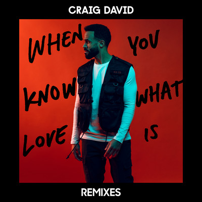 アルバム/When You Know What Love Is (Remixes)/Craig David