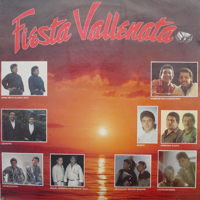 アルバム/Fiesta Vallenata vol. 17 1991/Vallenato