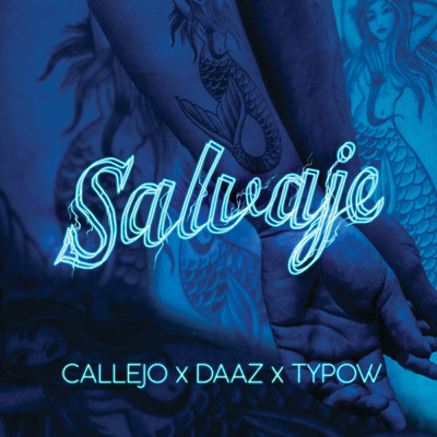 Callejo／DAAZ／Typow