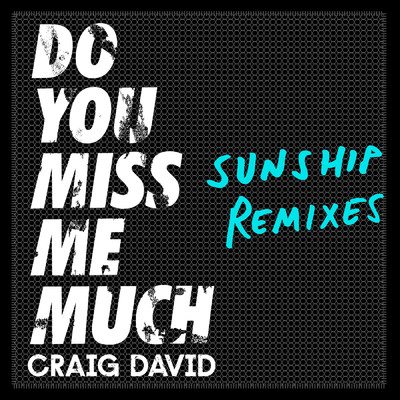 アルバム/Do You Miss Me Much (Sunship Remixes)/Craig David