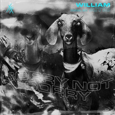 アルバム/sorrynotsorry/william