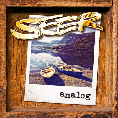 アルバム/Analog/Seer