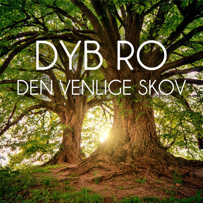 Den Venlige Skov  - del 3 (Meditation)/Dyb Ro