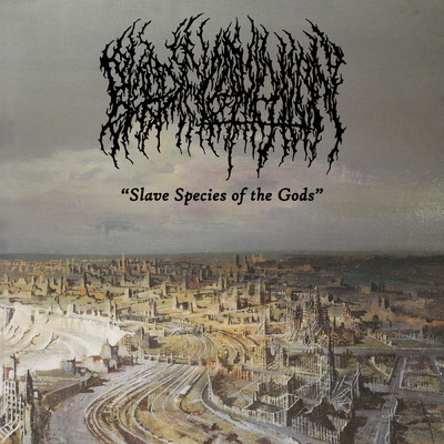 シングル/Slave Species of the Gods/Blood Incantation