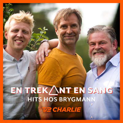 En Trekant En Sang 1 - Hits Hos Brygmann/Various Artists