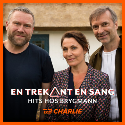En Trekant En Sang 2 - Hits Hos Brygmann/Various Artists