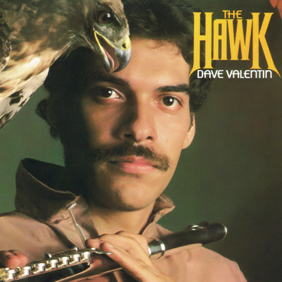 The Hawk/Dave Valentin
