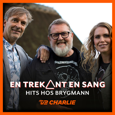 En Trekant En Sang 7 - Hits Hos Brygmann/Various Artists