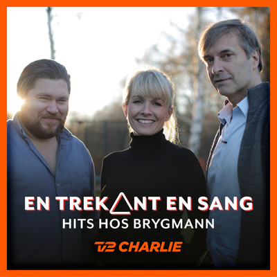 En Trekant En Sang 8 - Hits Hos Brygmann/Various Artists