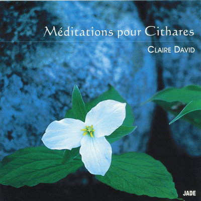 Meditations pour cithares/Claire David