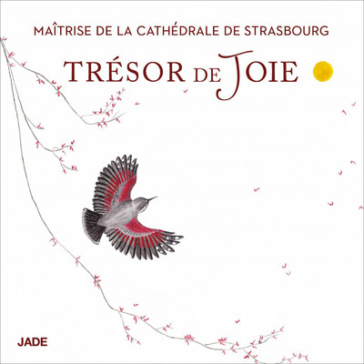 Tresors de joie/Maitrise De La Cathedrale De Strasbourg