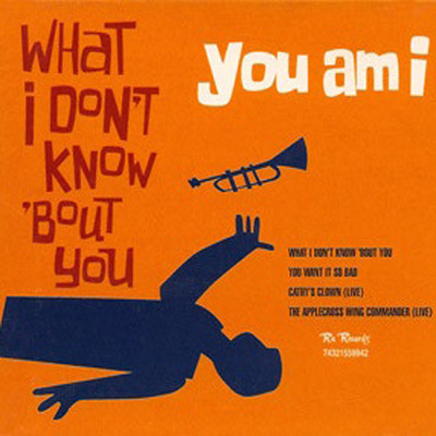 What I Don't Know 'Bout You (Explicit)/You Am I