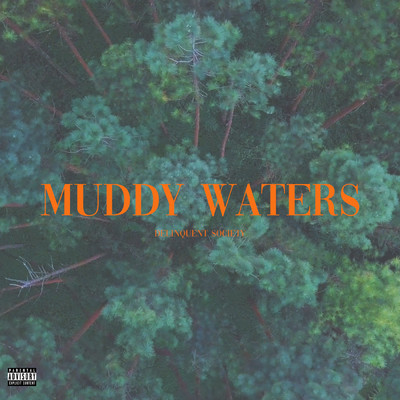 シングル/Muddy Waters/Delinquent Society