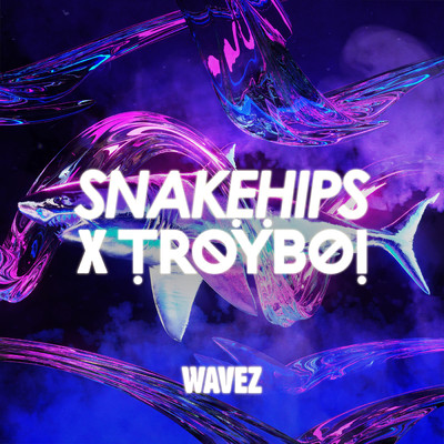 Wavez/Snakehips／TroyBoi