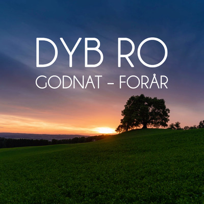 アルバム/Godnat Forar/Dyb Ro