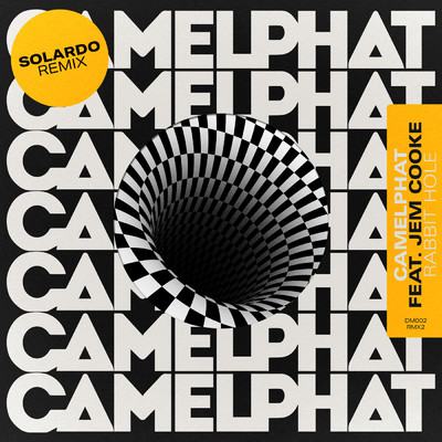 Rabbit Hole (Solardo Remix)/CamelPhat／Jem Cooke